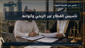 تأسيس القطاع غير الربحي وأنواعه